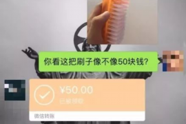 娄底为什么选择专业追讨公司来处理您的债务纠纷？