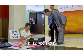 娄底专业讨债公司有哪些核心服务？